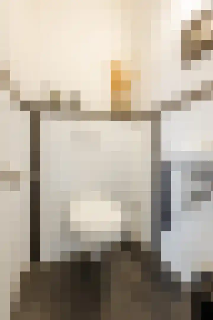 Paladijnstraat 25 Geldrop thumbnail 29