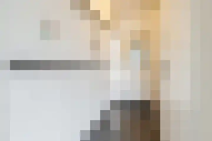 Paladijnstraat 25 Geldrop thumbnail 30