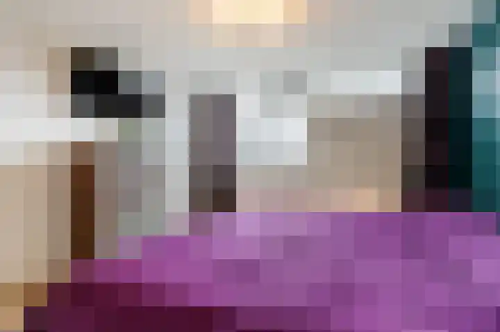 Paladijnstraat 25 Geldrop thumbnail 31