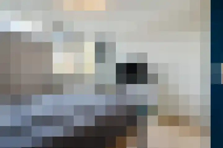 Paladijnstraat 25 Geldrop thumbnail 36