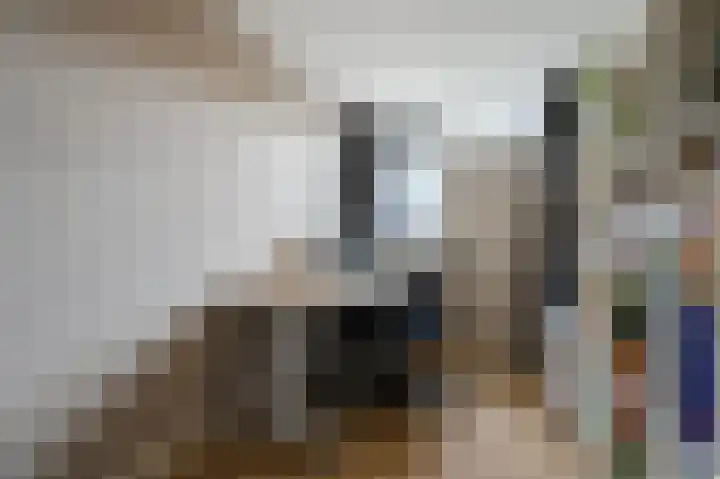 Paladijnstraat 25 Geldrop thumbnail 38