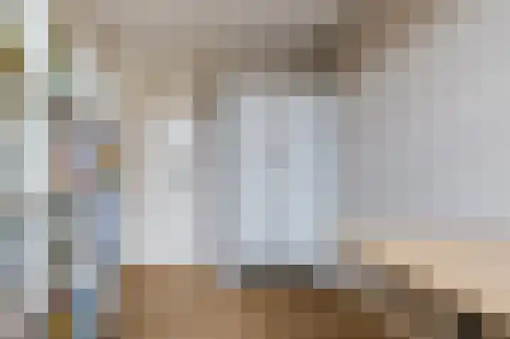 Paladijnstraat 25 Geldrop thumbnail 40