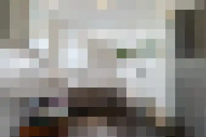 Paladijnstraat 25 Geldrop thumbnail 41