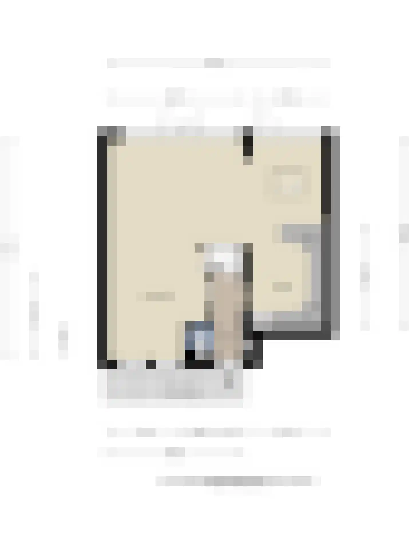 Paladijnstraat 25 Geldrop thumbnail 42
