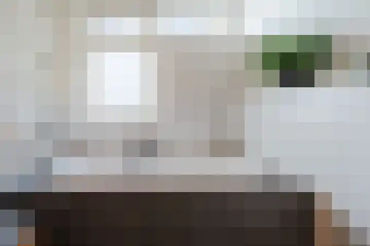 Paladijnstraat 25 Geldrop thumbnail 42