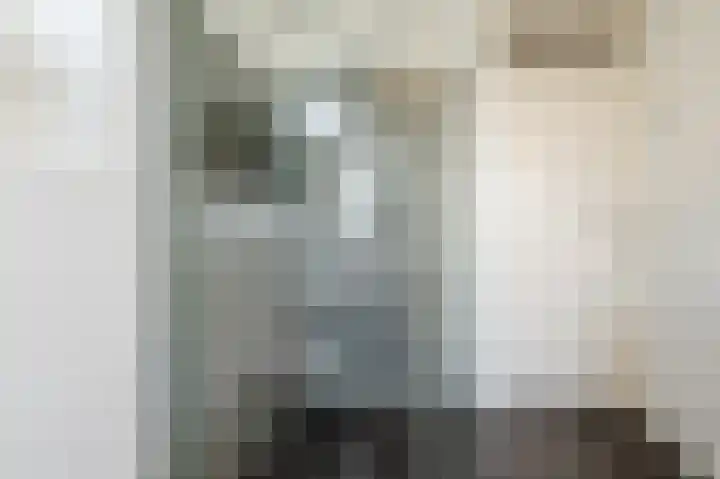 Paladijnstraat 25 Geldrop thumbnail 43