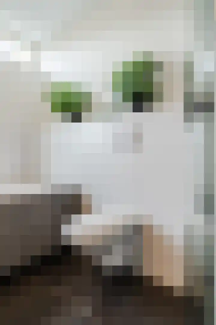 Paladijnstraat 25 Geldrop thumbnail 45