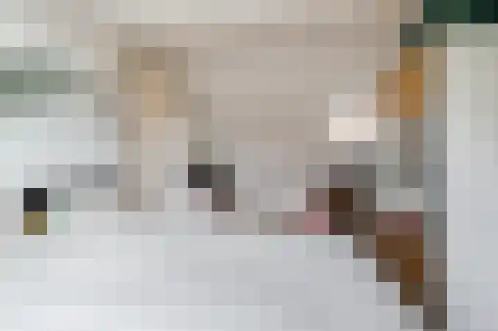 Paladijnstraat 25 Geldrop thumbnail 49