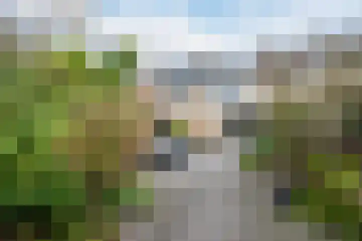 Paladijnstraat 25 Geldrop thumbnail 52
