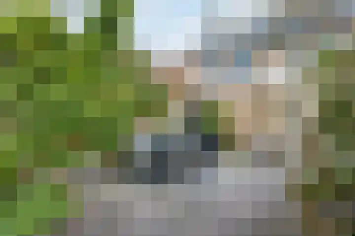 Paladijnstraat 25 Geldrop thumbnail 53