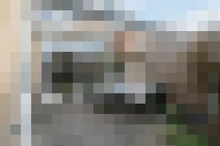 Paladijnstraat 25 Geldrop thumbnail 54