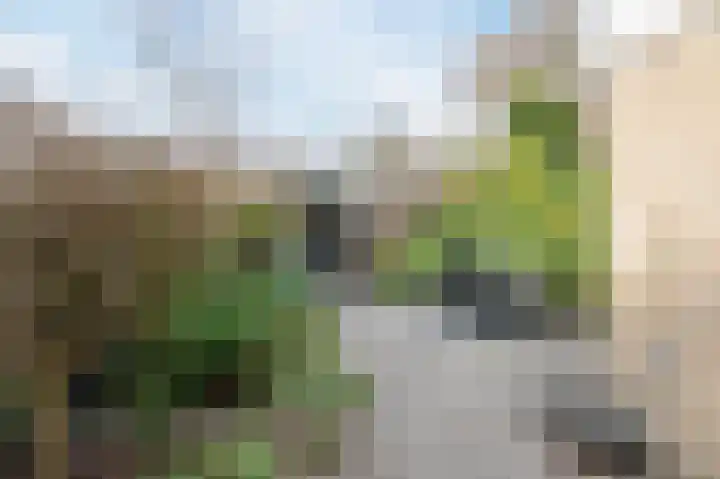 Paladijnstraat 25 Geldrop thumbnail 55