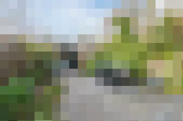 Paladijnstraat 25 Geldrop thumbnail 56