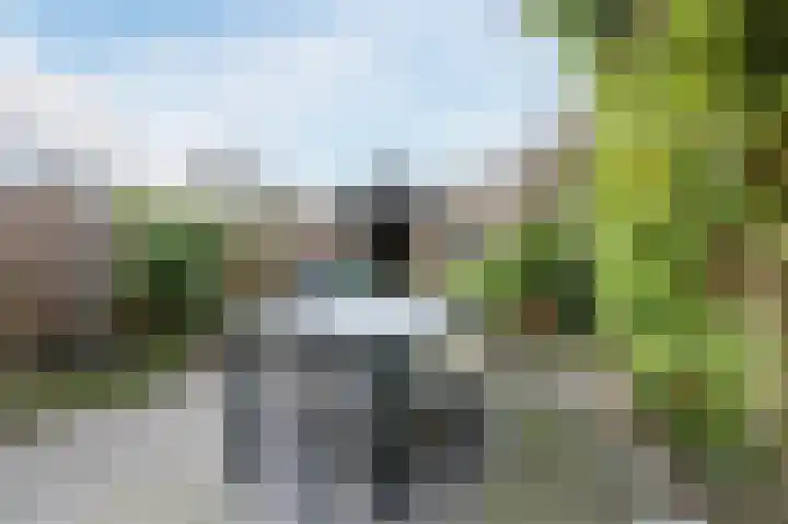 Paladijnstraat 25 Geldrop thumbnail 57