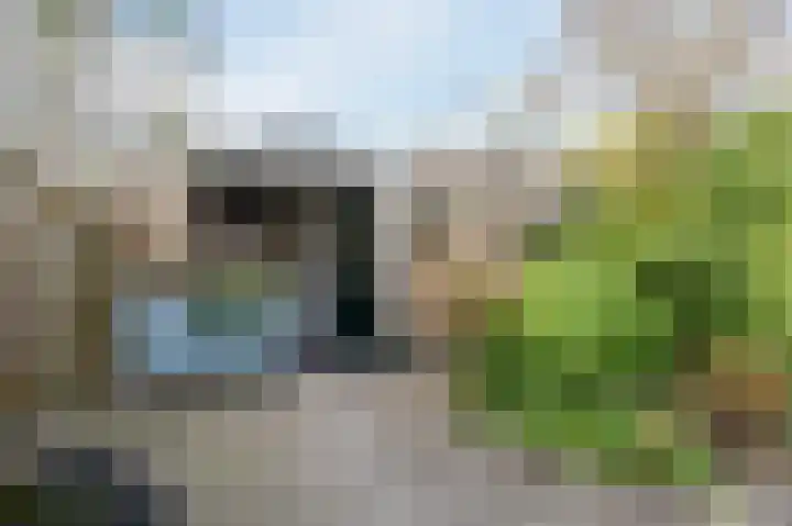 Paladijnstraat 25 Geldrop thumbnail 58