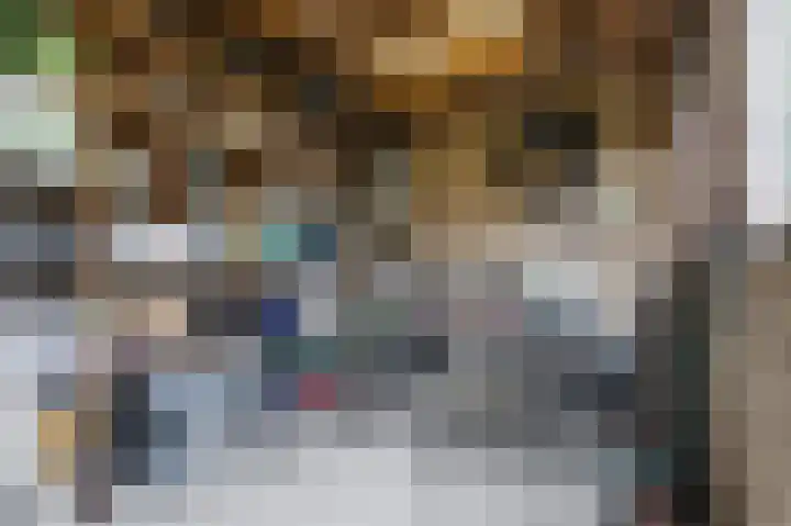 Paladijnstraat 25 Geldrop thumbnail 59