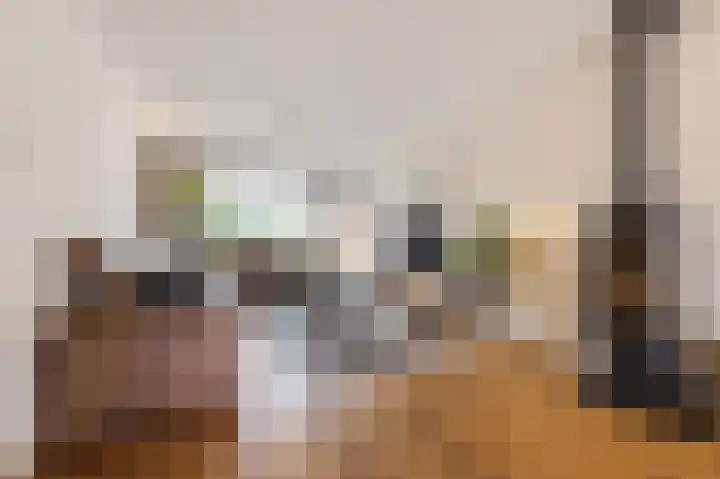Paladijnstraat 25 Geldrop thumbnail 6