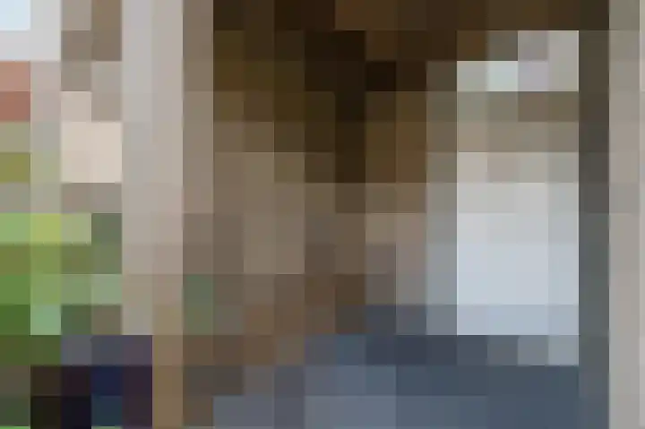 Paladijnstraat 25 Geldrop thumbnail 60