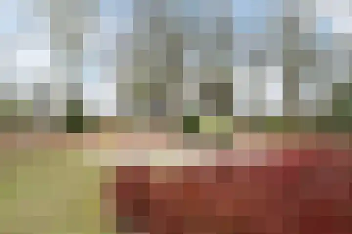 Paladijnstraat 25 Geldrop thumbnail 66