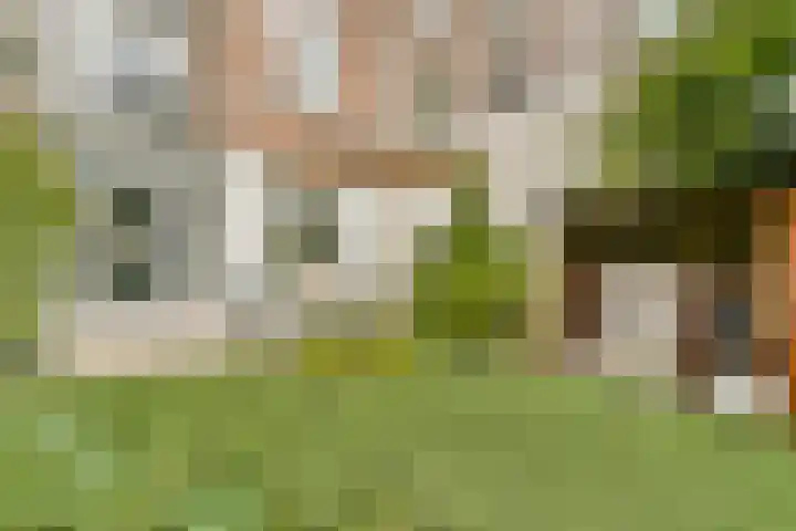 Paladijnstraat 25 Geldrop thumbnail 68