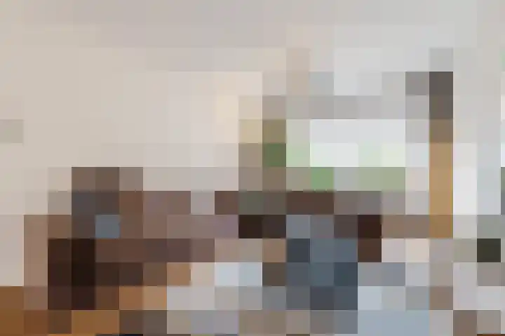 Paladijnstraat 25 Geldrop thumbnail 7