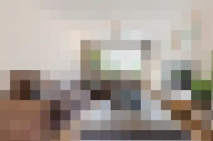 Paladijnstraat 25 Geldrop thumbnail 8