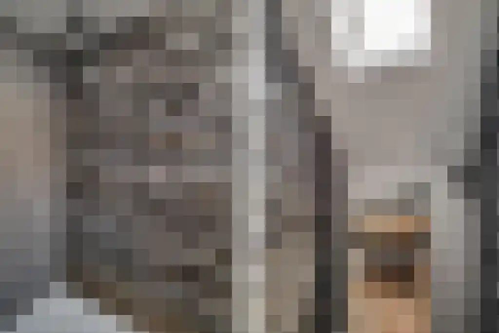 Palamedesstraat 5 1 Amsterdam thumbnail 29