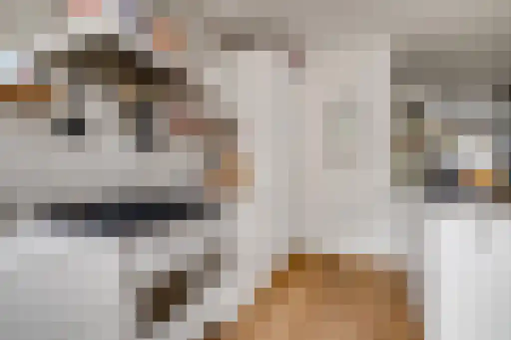 Palamedesstraat 5 1 Amsterdam thumbnail 8