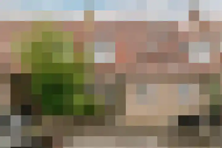 Palamedesstraat 62 Haarlem thumbnail 33