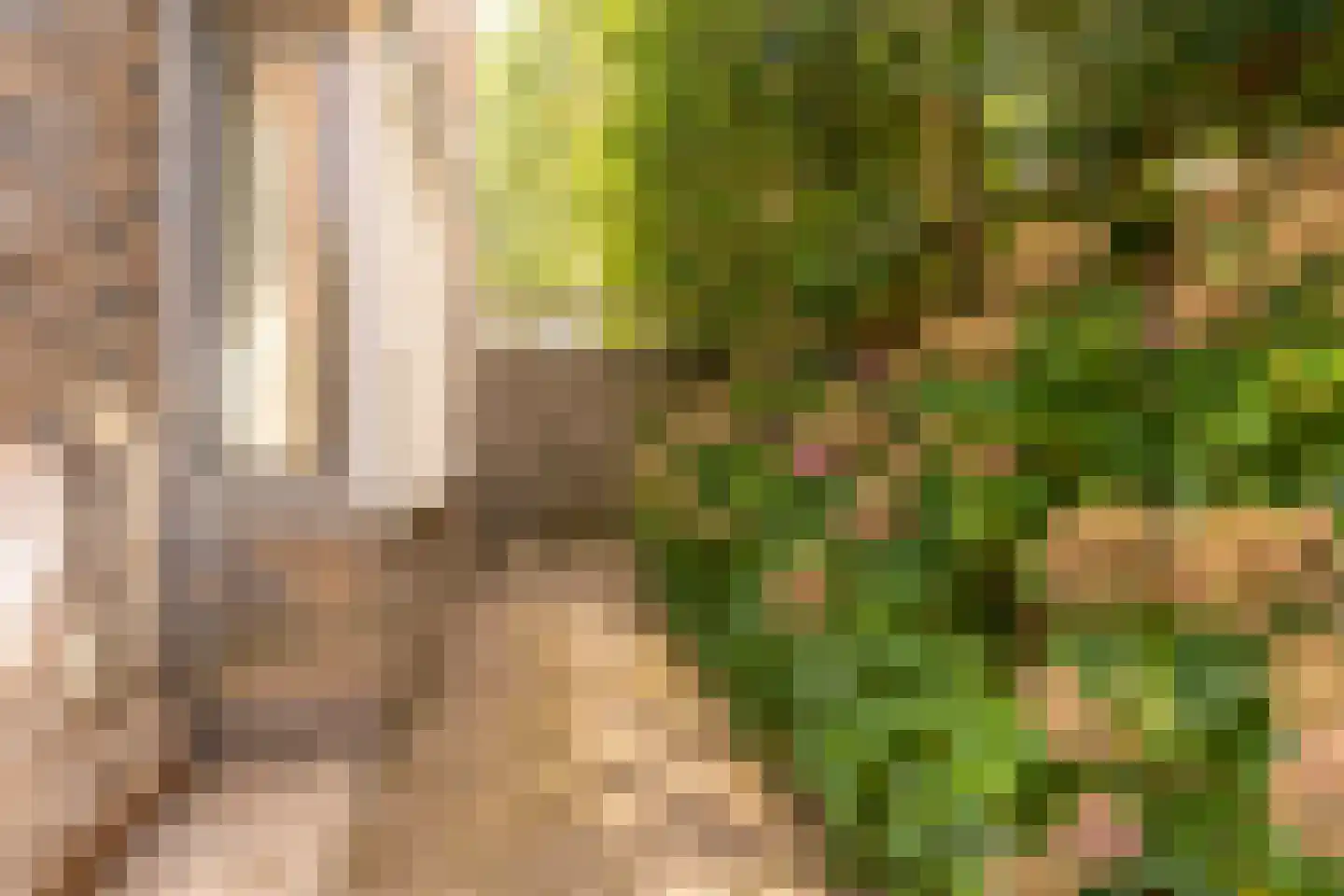 Paleismuur 70 Houten thumbnail 12