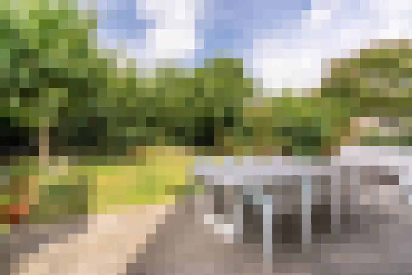 Paleismuur 70 Houten thumbnail 14