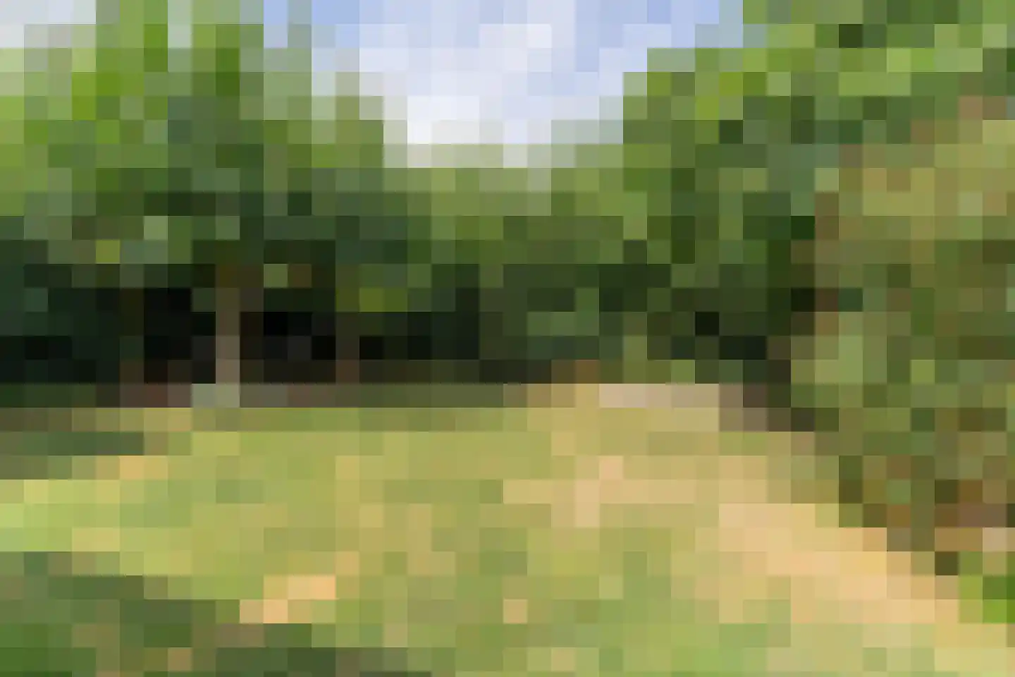 Paleismuur 70 Houten thumbnail 16