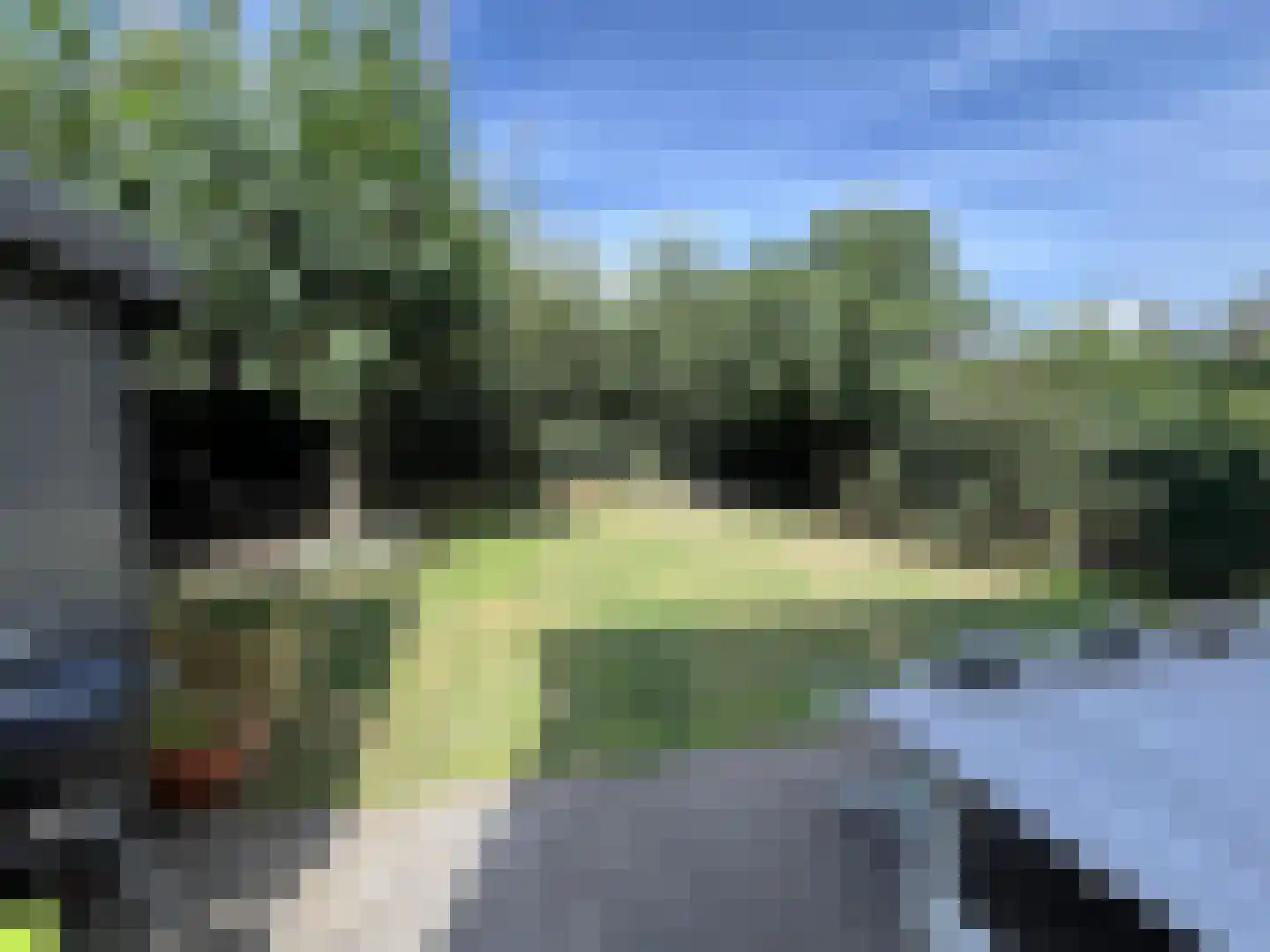 Paleismuur 70 Houten thumbnail 20