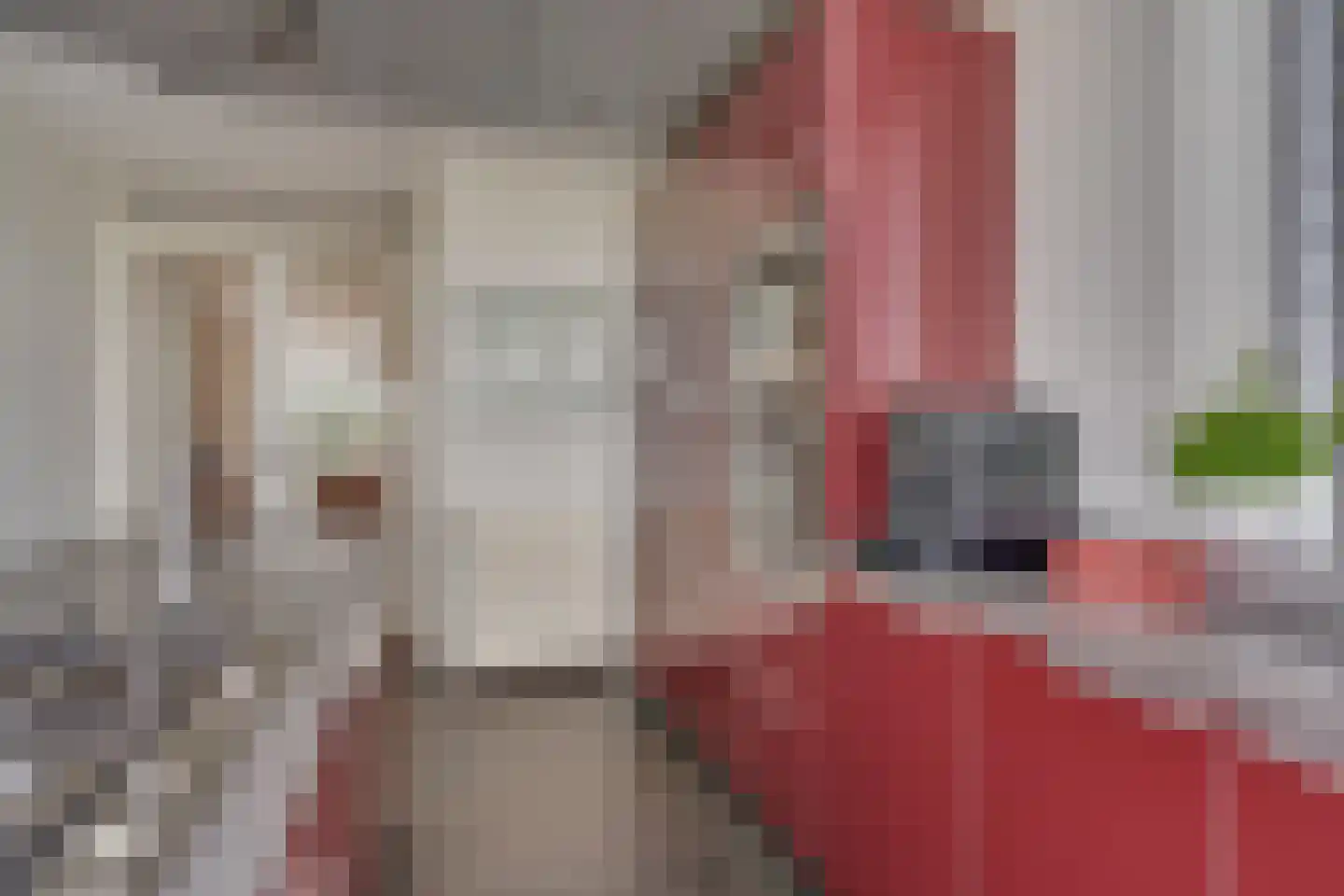 Paleismuur 70 Houten thumbnail 26