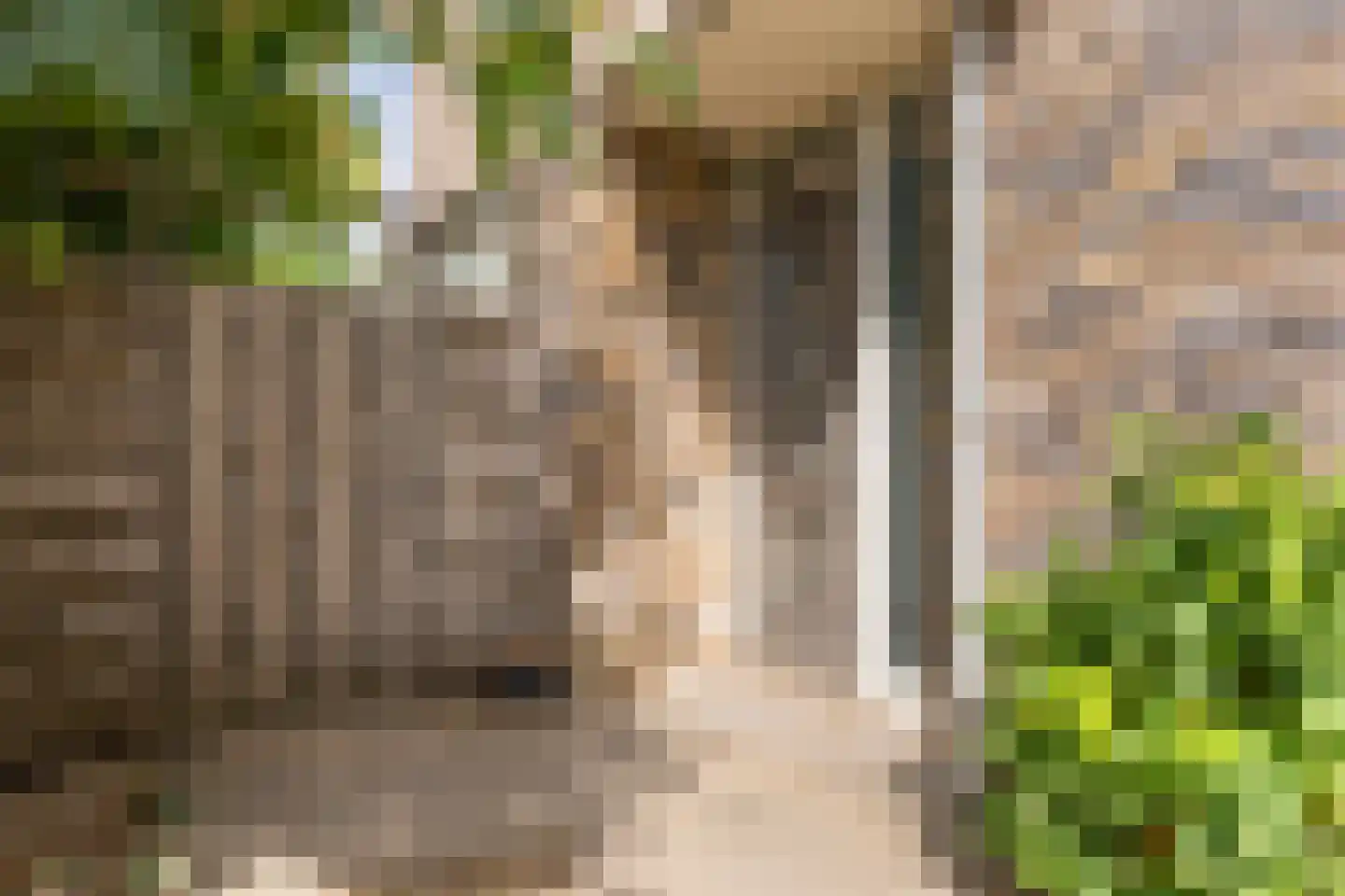 Paleismuur 70 Houten thumbnail 4