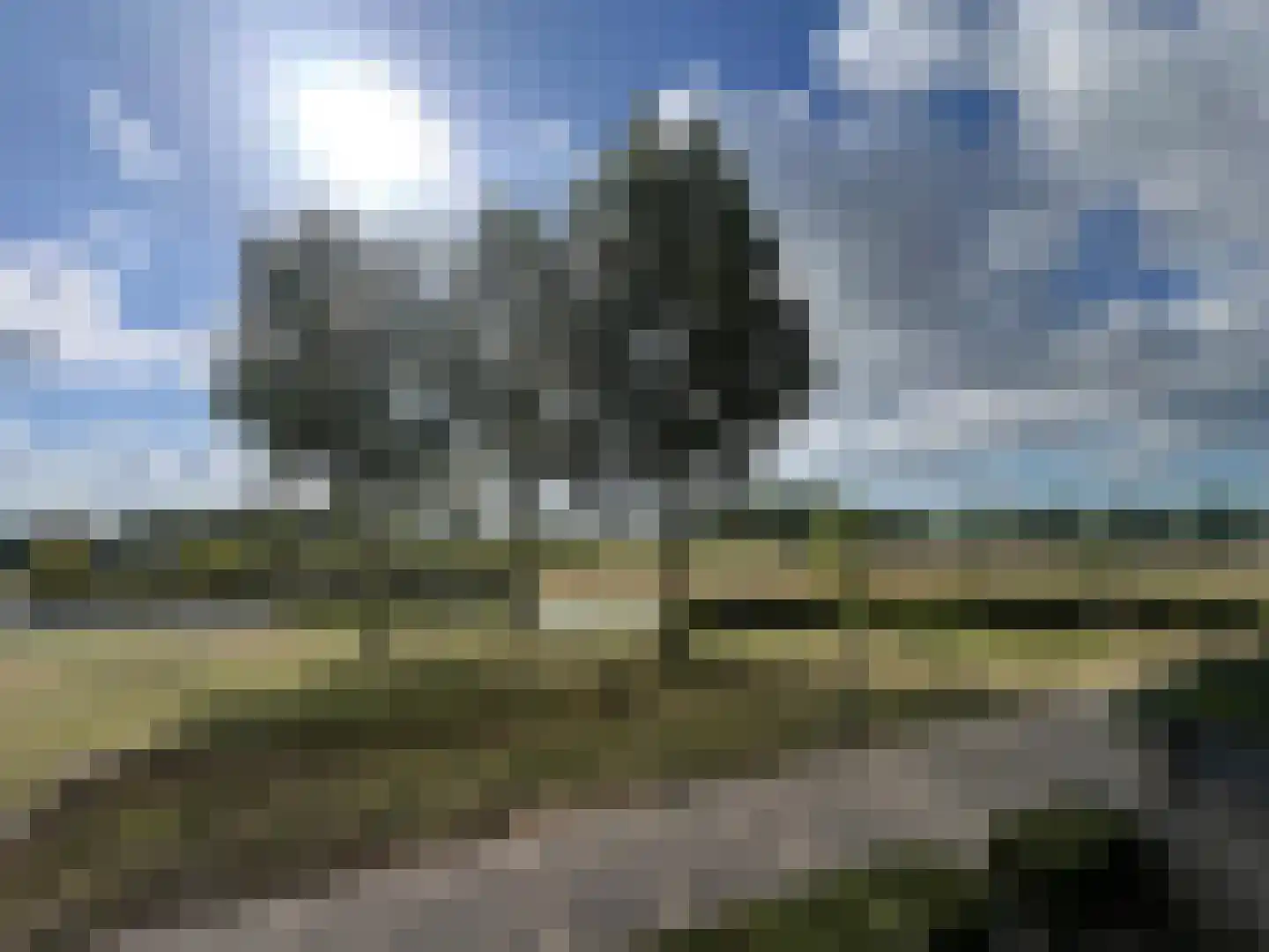 Paleismuur 70 Houten thumbnail 46