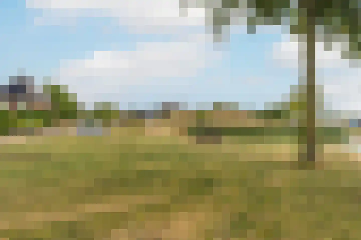 Paleismuur 70 Houten thumbnail 47