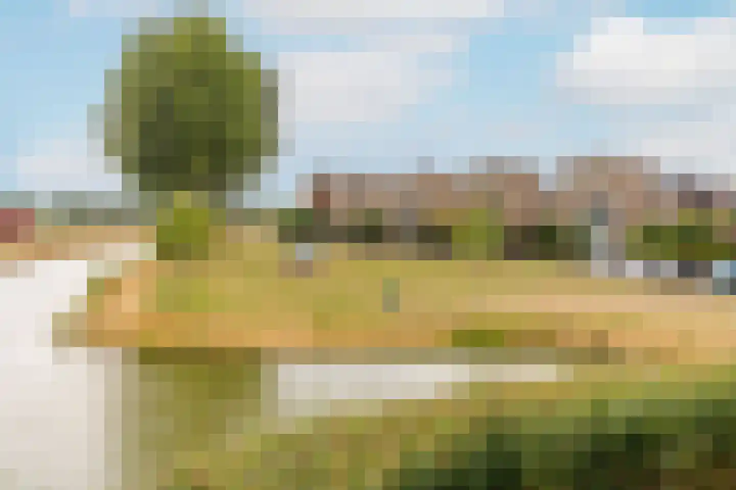 Paleismuur 70 Houten thumbnail 48