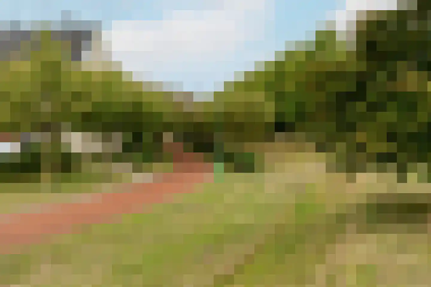 Paleismuur 70 Houten thumbnail 49