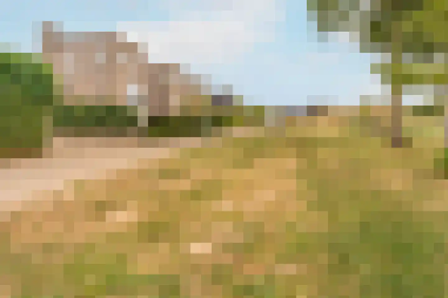Paleismuur 70 Houten thumbnail 50
