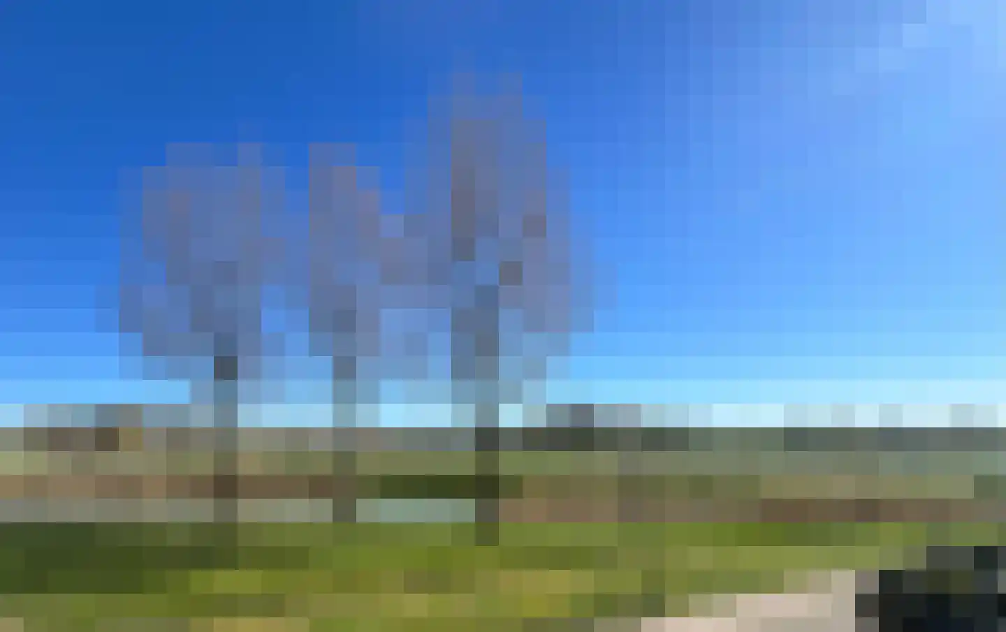 Paleismuur 70 Houten thumbnail 53