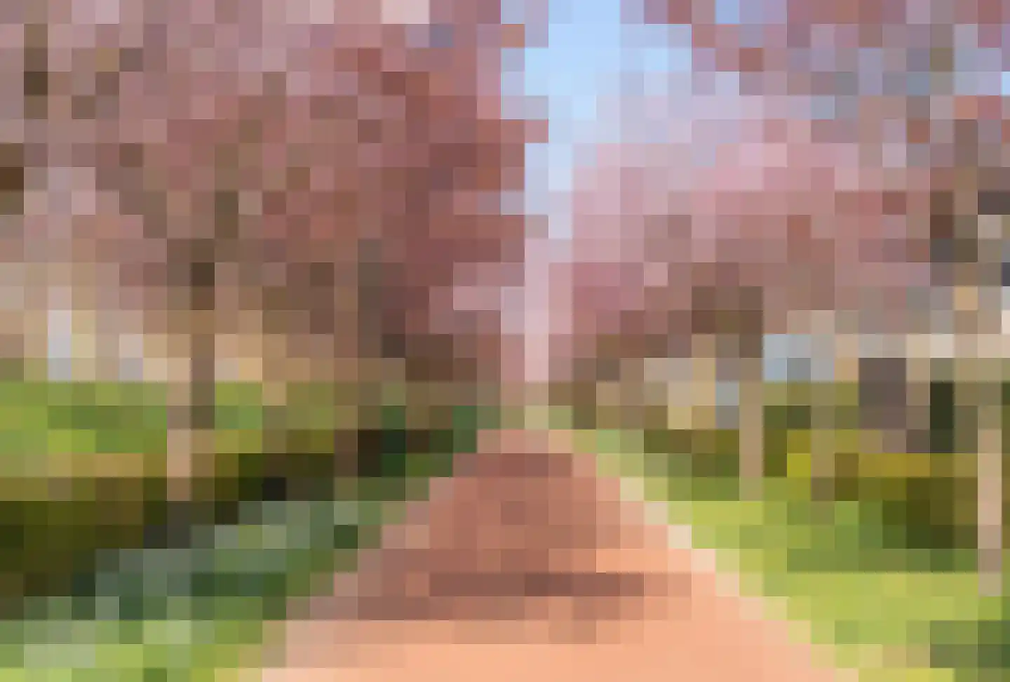 Paleismuur 70 Houten thumbnail 54