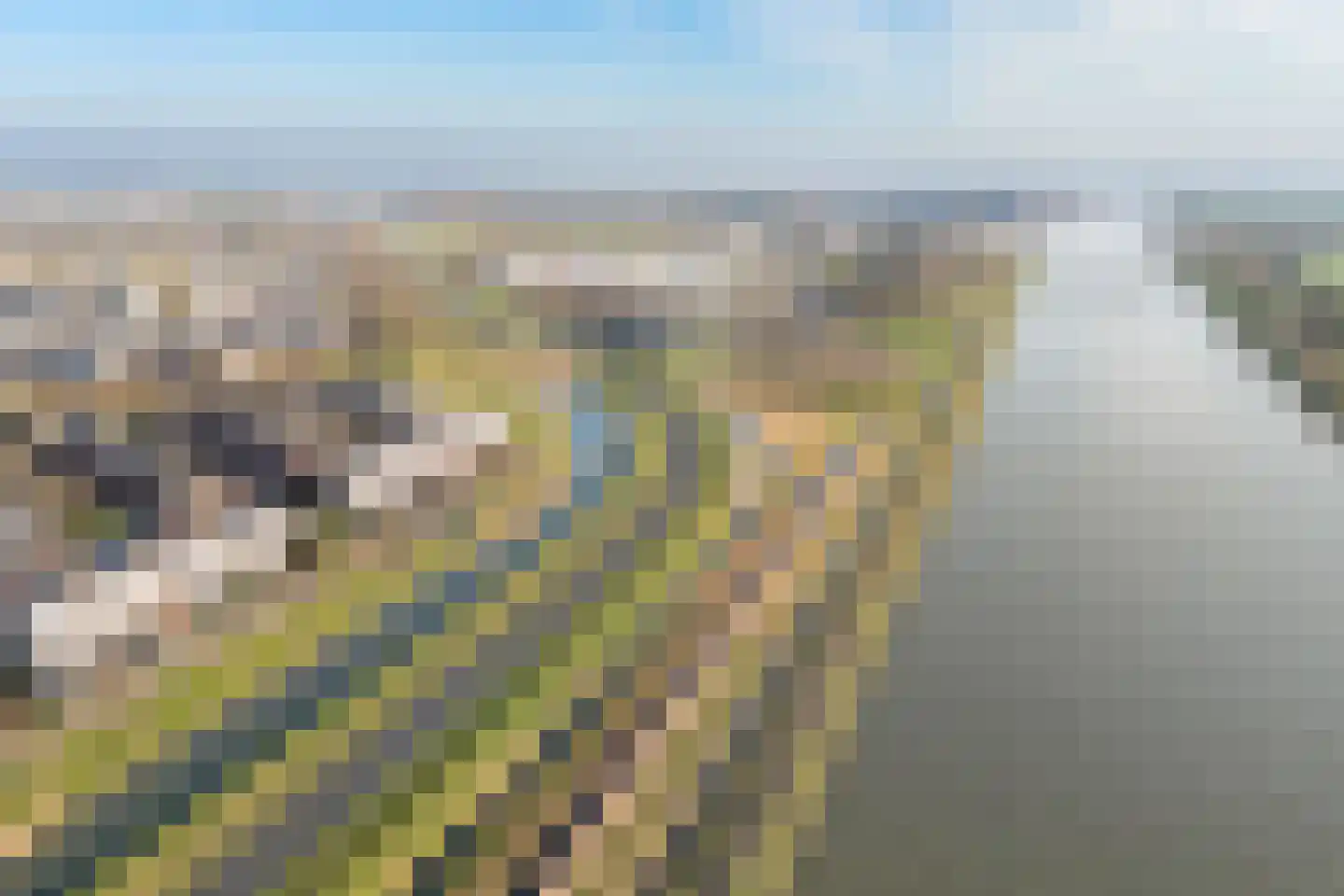 Paleismuur 70 Houten thumbnail 55