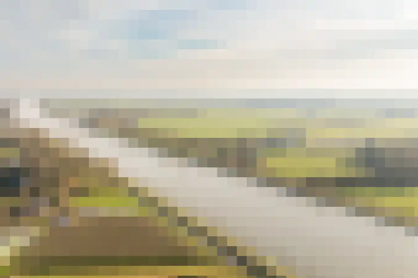 Paleismuur 70 Houten thumbnail 56
