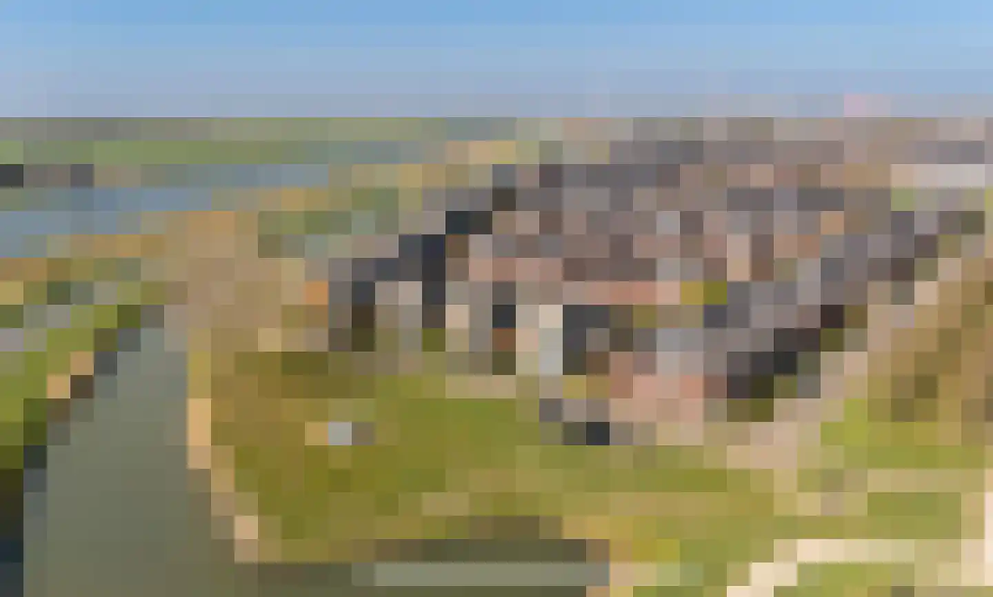 Paleismuur 70 Houten thumbnail 58