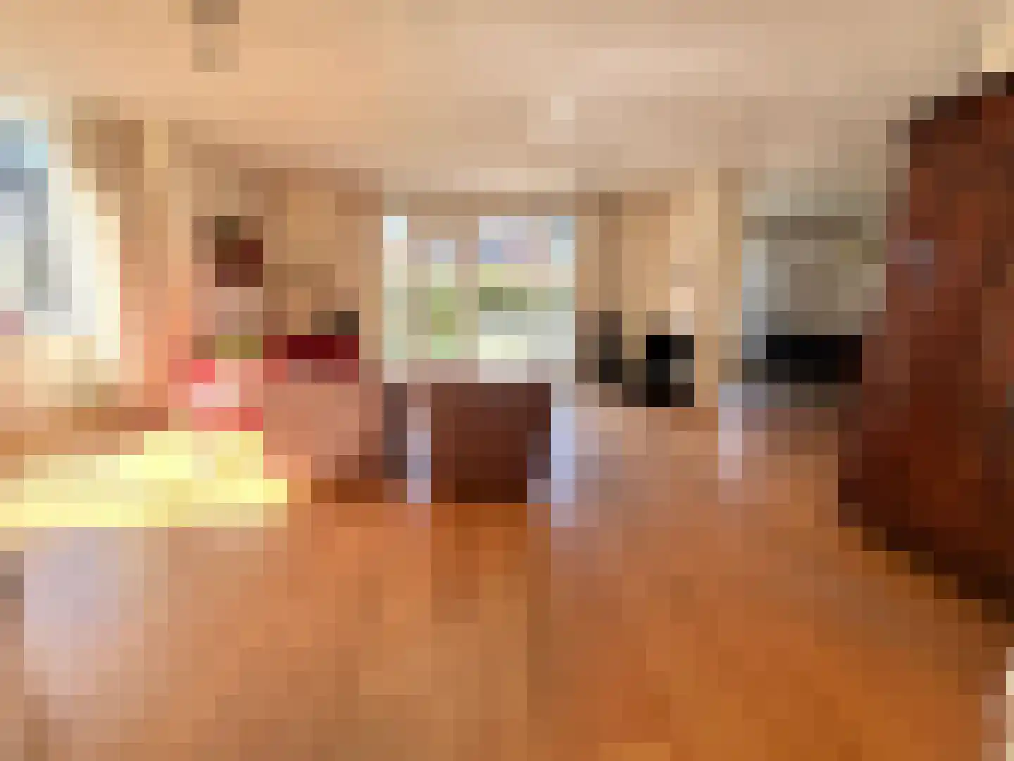 Paleismuur 70 Houten thumbnail 8