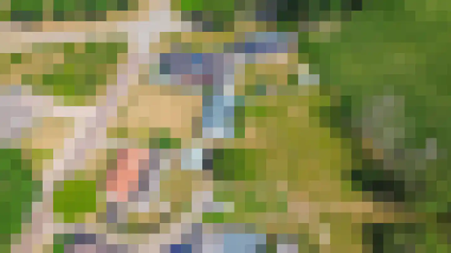 Paleisstraat Veldhoven thumbnail 14