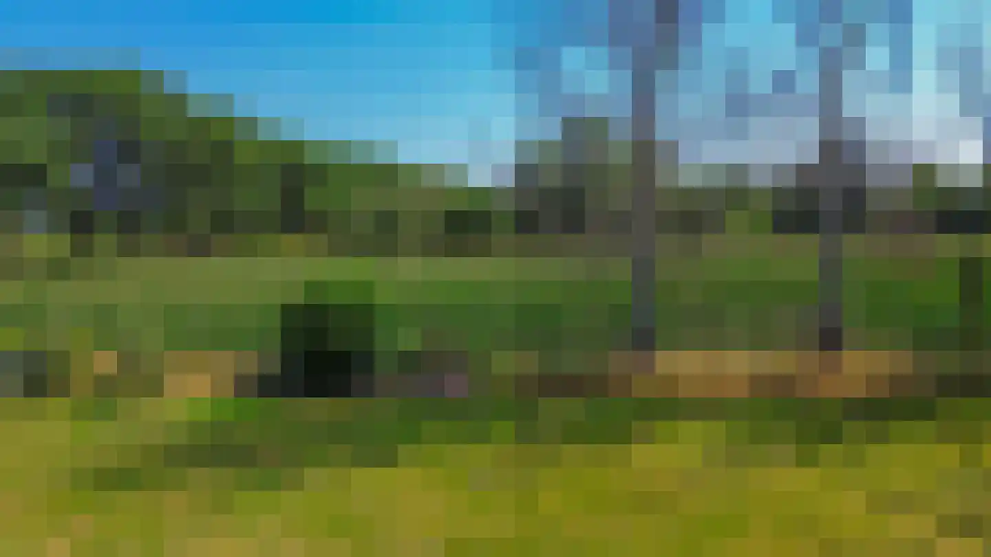 Paleisstraat Veldhoven thumbnail 18