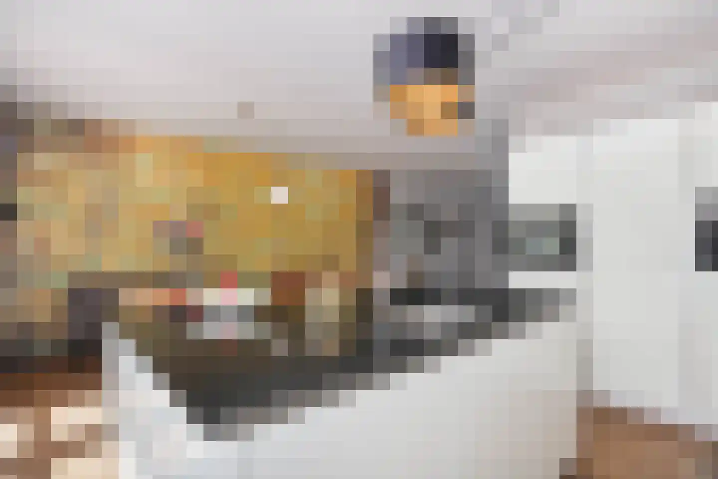 Paleistuinlaan 22 Vleuten thumbnail 12