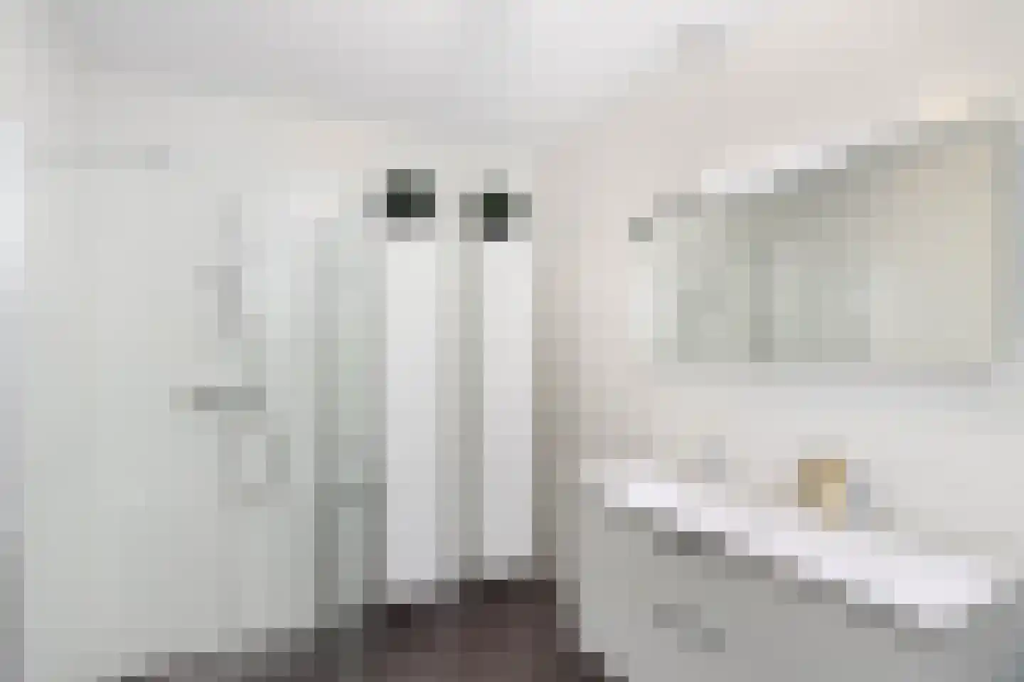 Paleistuinlaan 22 Vleuten thumbnail 33